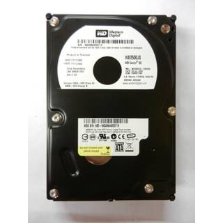 Western Digital 250GB SATA II 7200 RPM Bulk/OEM harddisk WD2500JS