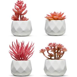Nordik Miniature Artificial Succulent S?t med fire geometriske runde hvide gryder - Kontorindretning til kvindelige skrivebord indend?rs stue hje