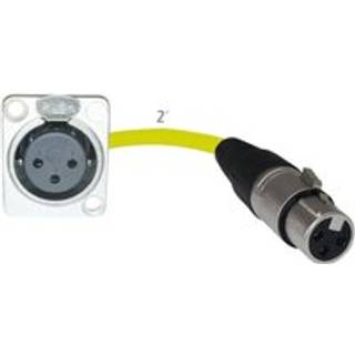 Golv Stage Box Panel Mount Pigtail Drop In No Solder (XLR Kvinna XLR Kvinnlig gul)