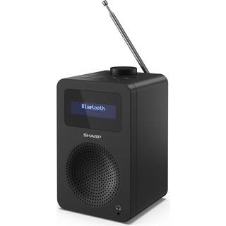 Sharp DR-430 Personligt Digital Sort