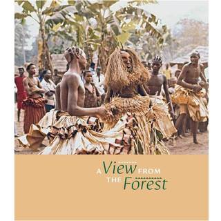 A View from the Forest