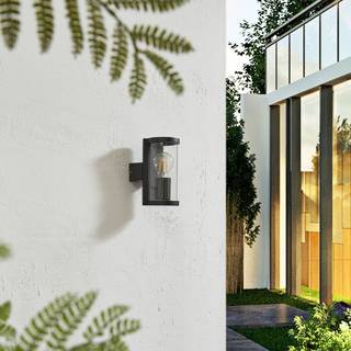 Udendørs væglampe Zanta Lucande, dæmpbar, Sort, Aluminium, Moderne,