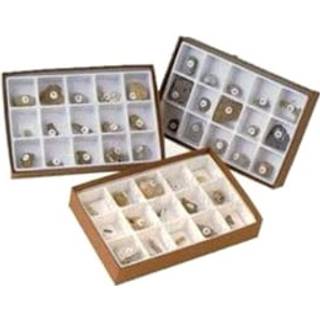 Geoscience Life of the Past Fossil Set mesozoic s?t p? 15