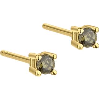 BIG KAYA OLIVE | GOLDEN