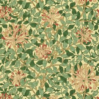 Honeysuckle Green/Coral Pink - DMC1HS102