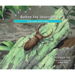 Sobre los insectos
