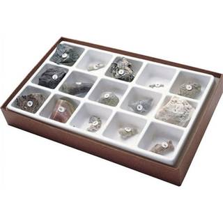 Amerikansk uddannelsesm?ssig generel fossil samling