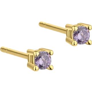 BIG KAYA PURPLE | GOLDEN
