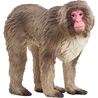 Schleich Japansk Makakabe