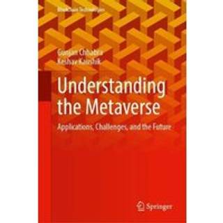 Understanding the Metaverse