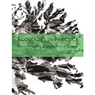 Ecologies in Practice