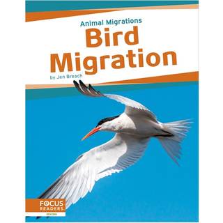 Bird Migration