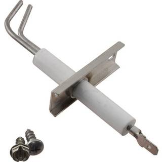 Raypak t?nder DSI 011611F