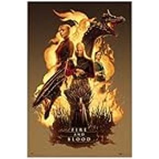 HOUSE OF DRAGONS - Fire & Blood - Poster 61 x 91cm