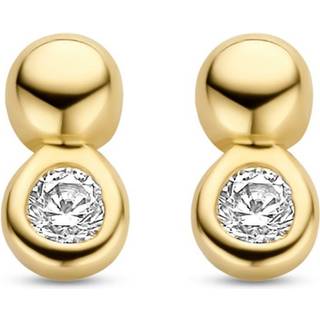 Schneider Basic Ohrstecker - ZS106 - gold