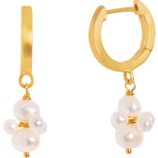 byBiehl - Pearl cluster øre hoops i guldbelagt sølv - 4-1510wp-gp