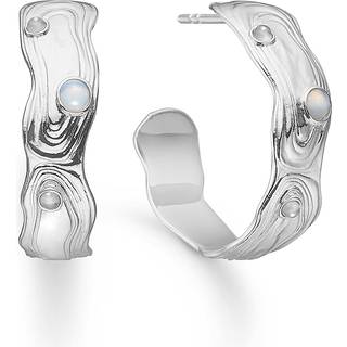 Studio Z - Shell creoler i sølv med grå sten - 7117830