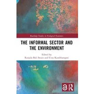 The Informal Sector and the Environment