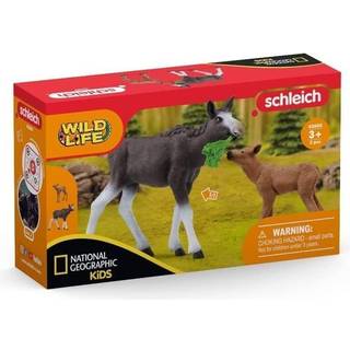 Schleich Wild Life Elgko med kalv 42603