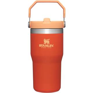 Stanley IceFlow Rustfrit st?l tumbler - Vakuumisoleret vandflaske til hjemmekontoret eller bilens genanvendelige kop med halml?kbestandig flip ku