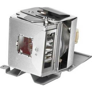 Vivitek projector lamp