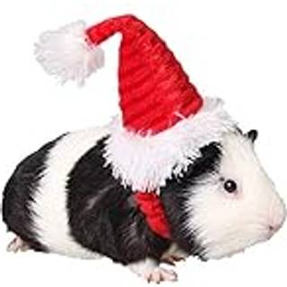 ANIAC julehamsterhatte marsvin kostume mini nissehue til killing Chinchilla Kanin Bunny Pindsvin Ilder Egern Rotter And Nyf?dt hvalp