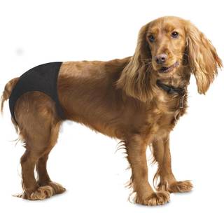 Løbetidsbukser til hund, størrelse M - 32-39 cm