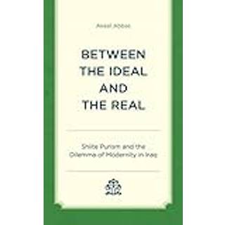 Between the Ideal and the Real