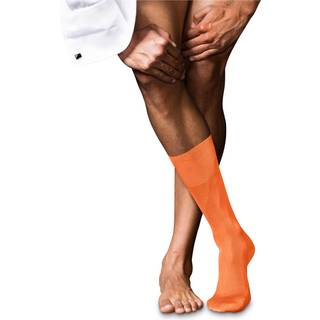 FALKE No. 9 Pure Fil d´Écosse Men Socks