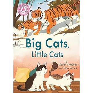 Reading Champion: Big Cats, Little Cats