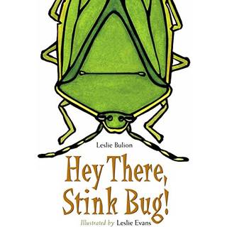 Hey There, Stink Bug!