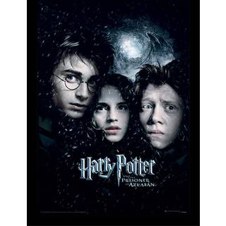 HARRY POTTER - Prisoner of Azkaban - Collector Print 30x40cm