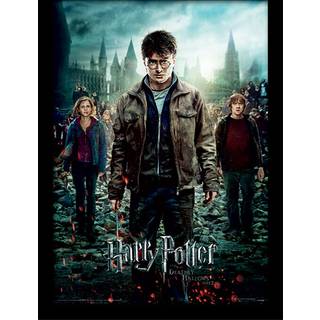 HARRY POTTER - Deathly Hollows Part 2 - Collector Print 30x40cm