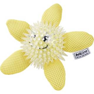 Vandlegetøj søstjerne 15 cm