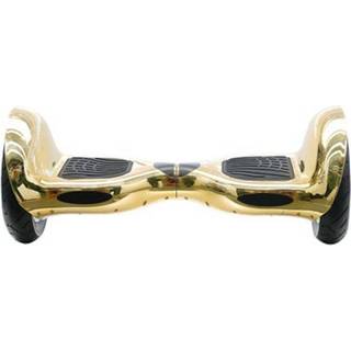 GoRunner Segboard 10", guld