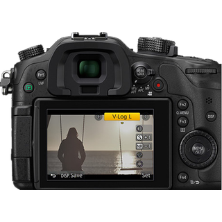 Panasonic V-Log activation DMW-SFU1GU