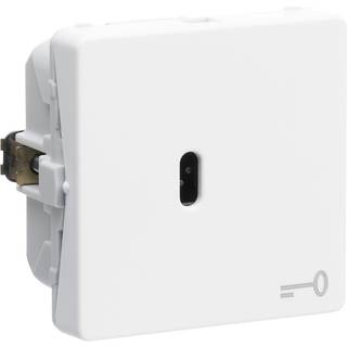 LK fuga switch (6 ) 16ax.250v key sw white