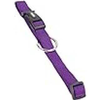 Hundehalsbånd "CLASSIC" - Purple - M - L