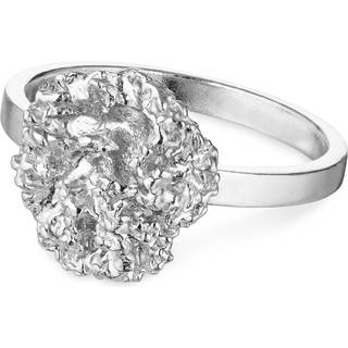 Flora Danica - Persille ring i sterling sølv - par-ri-s