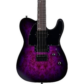 ESP LTD TE-200DX Purple Burst Elektrisk guitar