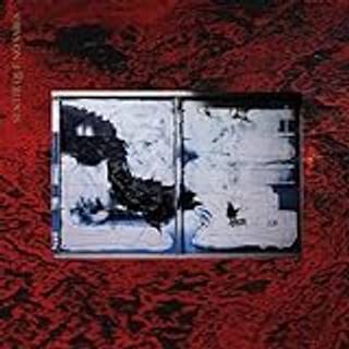Mabe Fratti - Sentir Que No Sabes