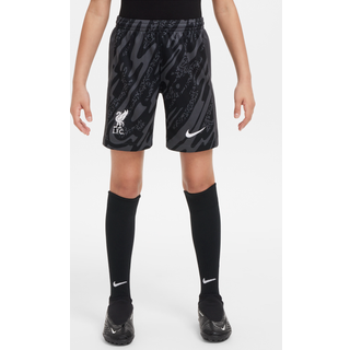 Liverpool FC 2024/25 Stadium Goalkeeper Nike Dri-FIT Replica-fodboldshorts til større børn - grå - XL