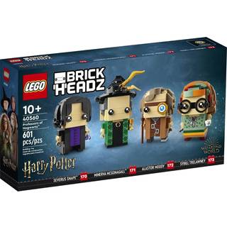 Hogwarts-Professorer (40560)
