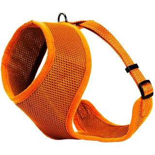 Dogman Meshsele Iris orange S