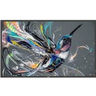 Philips 55BDL3650QE Q-Line - 55" Class (54.6" viewable) LED-backlit LCD display - 4K - for digital signage