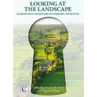 Looking at the Landscape