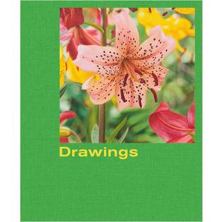 Mathew Cerletty: Drawings