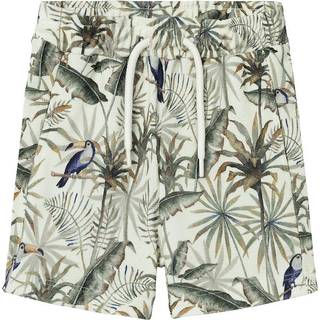 NAME IT Shorts Haykan Icicle