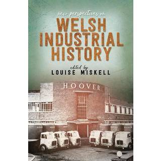 New Perspectives on Welsh Industrial History