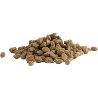 Hike Mini Trainers Godbidder